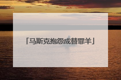 马斯克抱怨成替罪羊