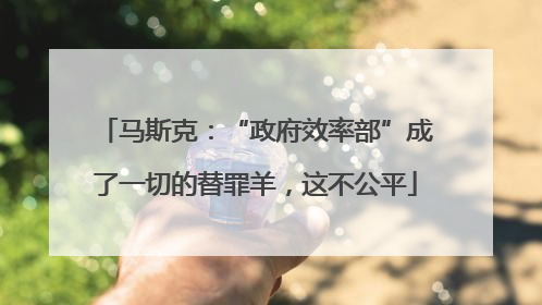 马斯克：“政府效率部”成了一切的替罪羊，这不公平