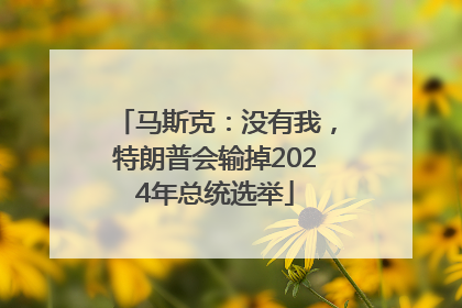 马斯克：没有我，特朗普会输掉2024年总统选举
