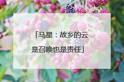 马星：故乡的云是召唤也是责任