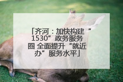 齐河：加快构建“1530”政务服务圈 全面提升“就近办”服务水平