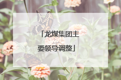 龙煤集团主要领导调整