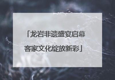 龙岩非遗盛宴启幕 客家文化绽放新彩
