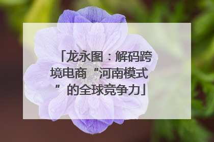 龙永图：解码跨境电商“河南模式”的全球竞争力