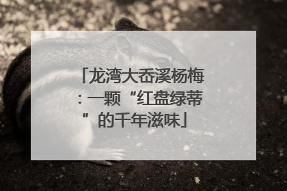 龙湾大岙溪杨梅：一颗“红盘绿蒂”的千年滋味