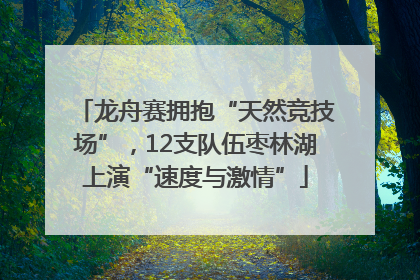 龙舟赛拥抱“天然竞技场”，12支队伍枣林湖上演“速度与激情”