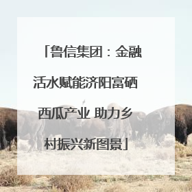 鲁信集团：金融活水赋能济阳富硒西瓜产业 助力乡村振兴新图景