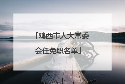 鸡西市人大常委会任免职名单