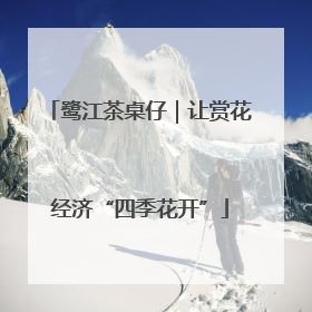 鹭江茶桌仔｜让赏花经济“四季花开”