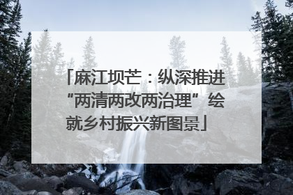 麻江坝芒：纵深推进“两清两改两治理”绘就乡村振兴新图景
