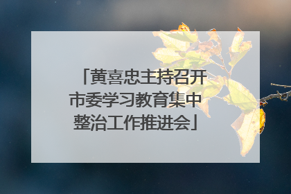 黄喜忠主持召开市委学习教育集中整治工作推进会