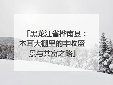 黑龙江省桦南县：木耳大棚里的丰收盛景与共富之路
