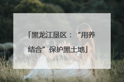 黑龙江垦区：“用养结合”保护黑土地