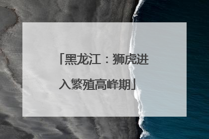 黑龙江：狮虎进入繁殖高峰期
