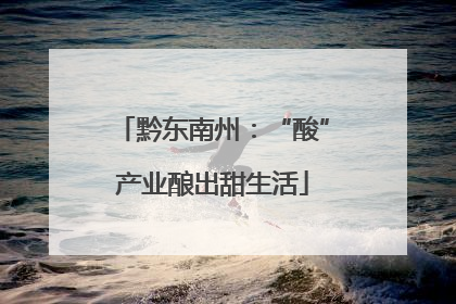 黔东南州：“酸”产业酿出甜生活