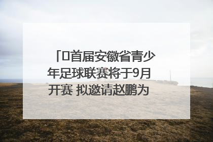 ﻿首届安徽省青少年足球联赛将于9月开赛 拟邀请赵鹏为先导赛开球