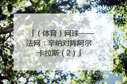 （体育）网球——法网：辛纳对阵阿尔卡拉斯（2）