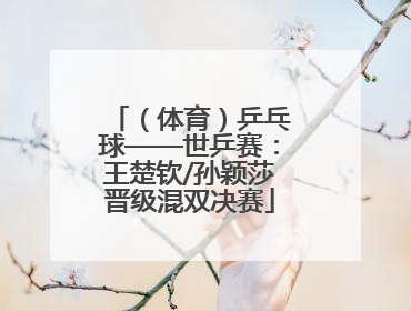 （体育）乒乓球——世乒赛：王楚钦/孙颖莎晋级混双决赛