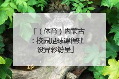 （体育）内蒙古：校园足球课程建设异彩纷呈