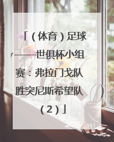 （体育）足球——世俱杯小组赛：弗拉门戈队胜突尼斯希望队（2）
