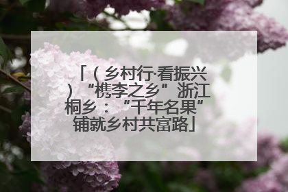 （乡村行·看振兴）“槜李之乡”浙江桐乡：“千年名果”铺就乡村共富路