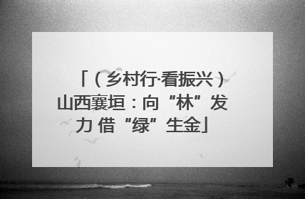 （乡村行·看振兴）山西襄垣：向“林”发力 借“绿”生金