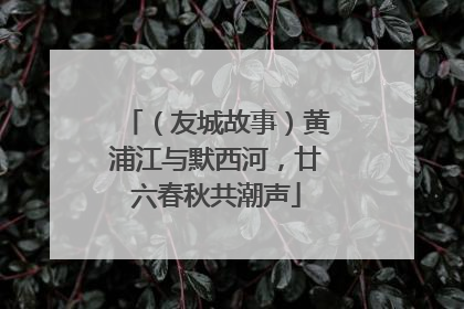 （友城故事）黄浦江与默西河，廿六春秋共潮声