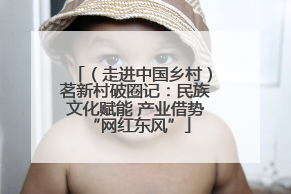 （走进中国乡村）茗新村破圈记：民族文化赋能 产业借势 “网红东风”