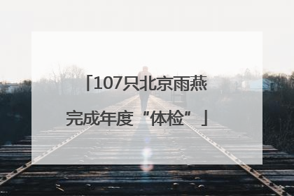 107只北京雨燕完成年度“体检”