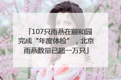107只雨燕在颐和园完成“年度体检”，北京雨燕数量已超一万只