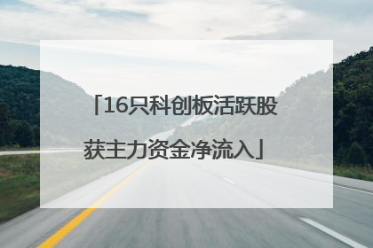 16只科创板活跃股获主力资金净流入