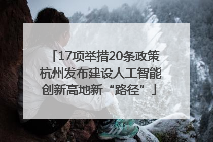 17项举措20条政策 杭州发布建设人工智能创新高地新“路径”