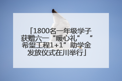 1800名一年级学子获赠六一“暖心礼” “希望工程1+1”助学金发放仪式在川举行