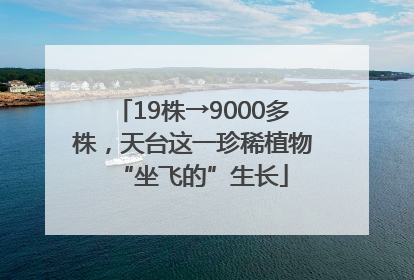 19株→9000多株，天台这一珍稀植物“坐飞的”生长