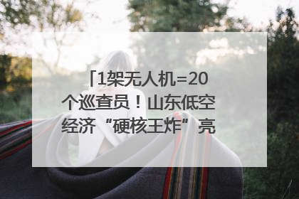 1架无人机=20个巡查员！山东低空经济“硬核王炸”亮相青岛，下一个万亿赛道藏在这里