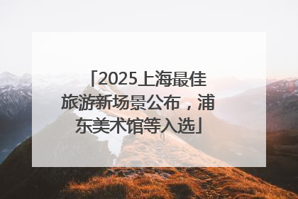 2025上海最佳旅游新场景公布，浦东美术馆等入选