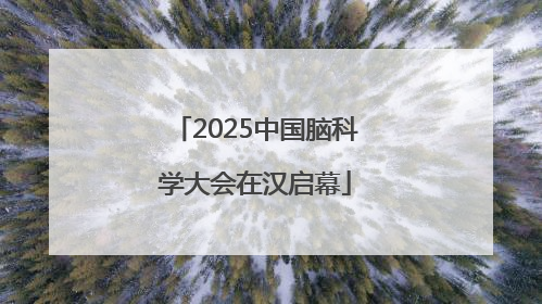 2025中国脑科学大会在汉启幕