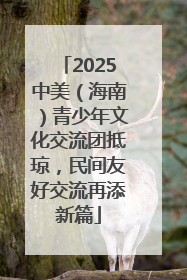 2025中美（海南）青少年文化交流团抵琼，民间友好交流再添新篇