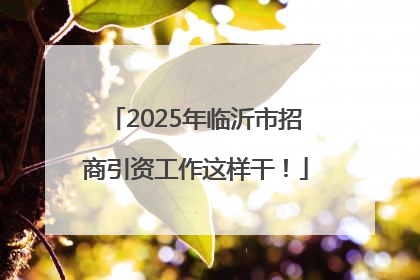 2025年临沂市招商引资工作这样干！