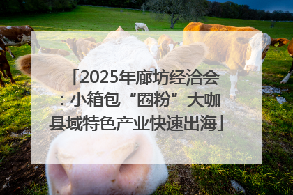 2025年廊坊经洽会：小箱包“圈粉”大咖 县域特色产业快速出海