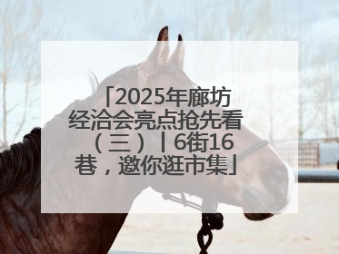 2025年廊坊经洽会亮点抢先看（三）丨6街16巷，邀你逛市集