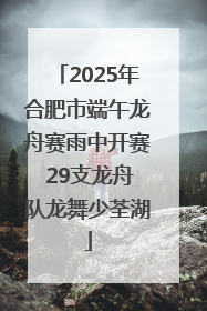 2025年合肥市端午龙舟赛雨中开赛 29支龙舟队龙舞少荃湖