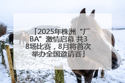 2025年株洲“厂BA”激情启幕 共38场比赛，8月将首次举办全国邀请赛