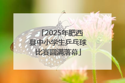 2025年肥西县中小学生乒乓球比赛圆满落幕