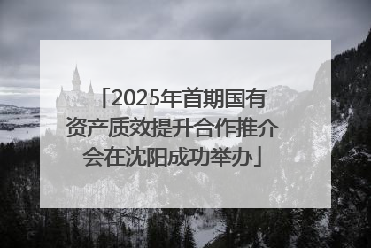 2025年首期国有资产质效提升合作推介会在沈阳成功举办