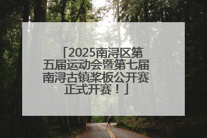 2025南浔区第五届运动会暨第七届南浔古镇桨板公开赛正式开赛！