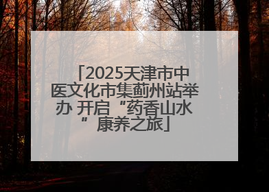 2025天津市中医文化市集蓟州站举办 开启“药香山水”康养之旅