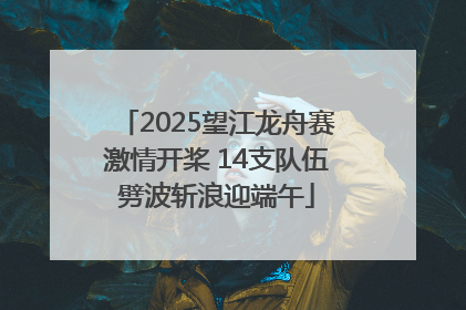 2025望江龙舟赛激情开桨 14支队伍劈波斩浪迎端午