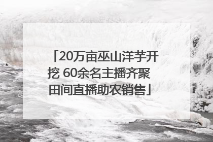 20万亩巫山洋芋开挖 60余名主播齐聚田间直播助农销售
