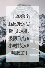20余亩山蔬外运受阻 无人机极限飞行8小时转运6吨蔬菜